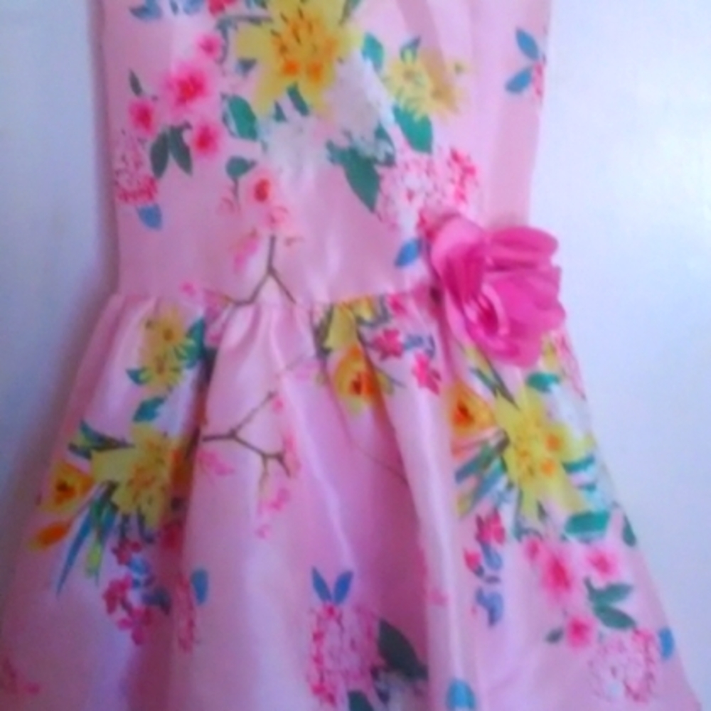 Wonder Nation size 6 Beautiful Flower Dress